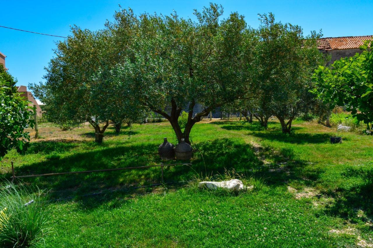 Villa Kutija Sveti Filip i Jakov Luaran gambar