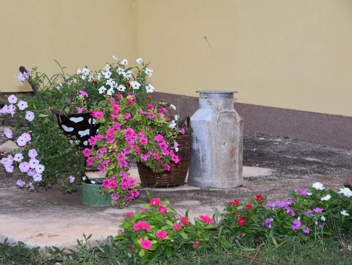 Villa Kutija Sveti Filip i Jakov Luaran gambar