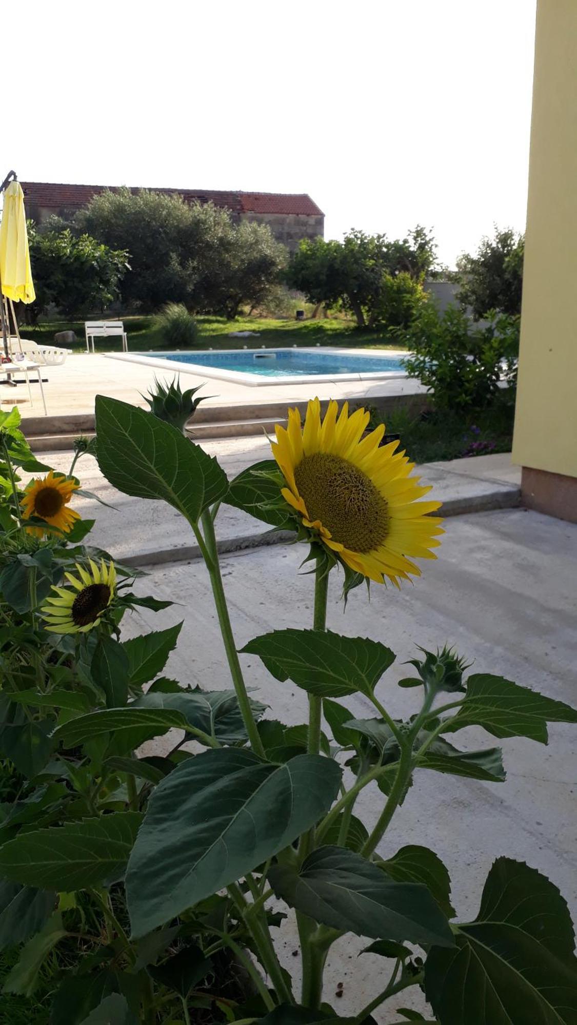 Villa Kutija Sveti Filip i Jakov Luaran gambar